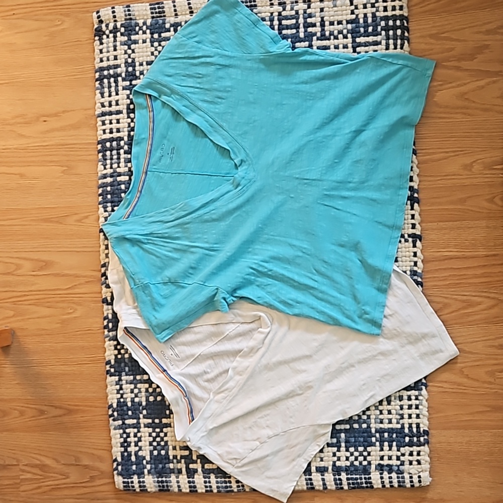 2 Pilcro Deep V-neck, cropped Cotton Slub Tees, white & turquoise (M)